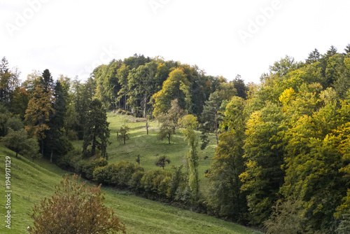 Hiking in the forest autumn time 