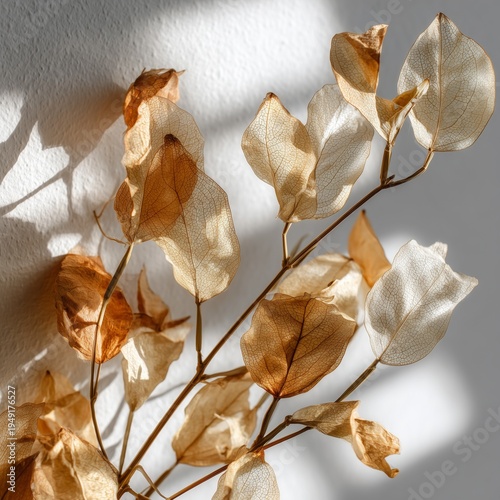 Decorative Leaves Arranged in a Vase in Natural Light at a Home Setting in th...