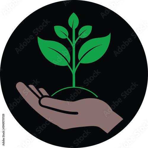 Hand holding plant sprout with soil growth and new life concept isolated on white background