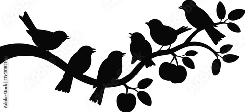 Birds singing on apple tree branch silhouette, black wildlife nature illustration with leaves and fruits, decorative vector isolated