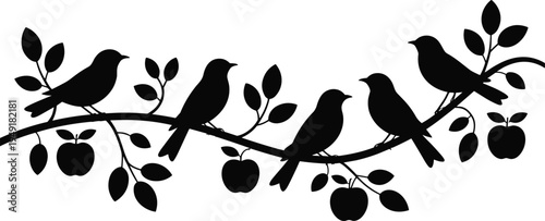 Birds sitting on apple tree branch silhouette, black wildlife nature illustration with leaves and fruits isolated on white background