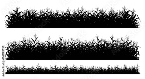 Black silhouette illustrations of dense corn field rows arranged in three horizontal landscape bands