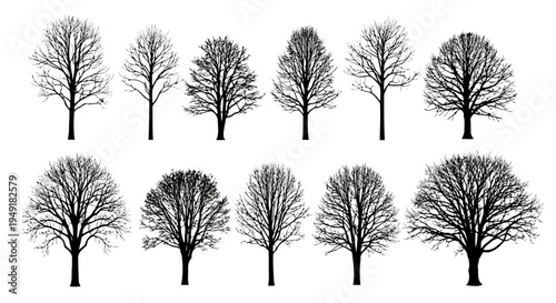 A collection of eleven distinct deciduous tree silhouettes featuring intricate bare branch details