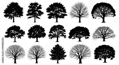 A collection of fifteen diverse tree silhouettes featuring various species and seasonal conditions
