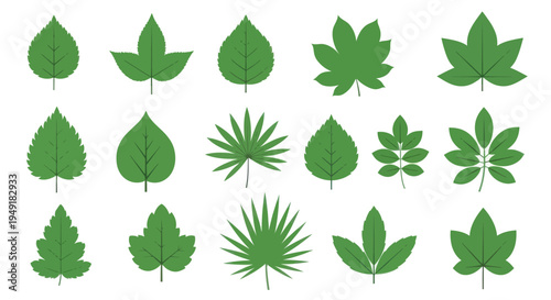 Nature Botany Flat Design Vector Leaves Icons Set - Diverse Plant Foliage Collection