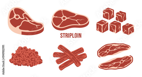 Flat Vector Illustration of Various Raw Meat Cuts for Food and Butchery Design