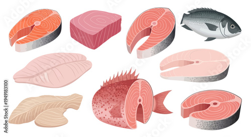 Various Fresh Fish Cuts, Slices, Steaks and Whole Fish Vector Art