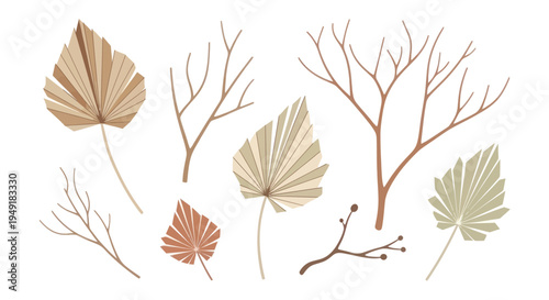 Dried Palm Leaves and Branches, Boho Vector Art