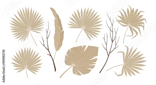Dried palm leaves and branches, boho style, vector art