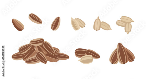 Flat illustration of sunflower seeds in piles and scattered