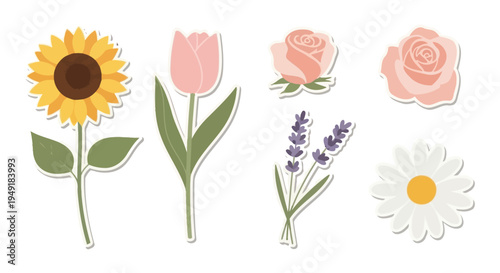 Cute Vector Floral Elements: Sunflower, Tulip, Roses, Lavender, Daisy