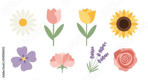 Flat illustration of 8 colorful flowers on white background