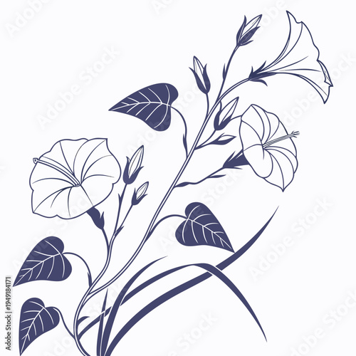water spinach vector