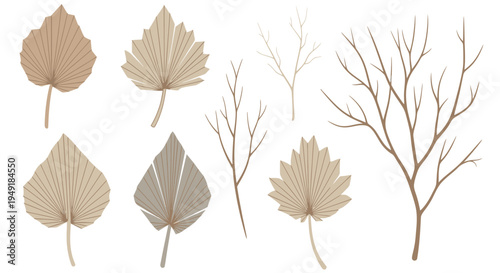 Boho Dried Palm Leaves  Bare Branches Vector Illustration