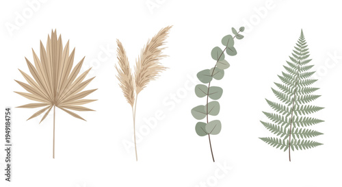 Dried Palm Leaf, Pampas Grass, Eucalyptus, Fern Vector Set