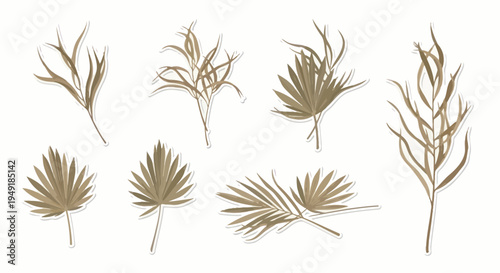 Dried tropical palm leaves and branches, vector illustration