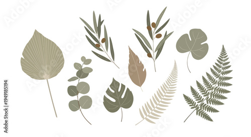 Botanical Illustration: Tropical Leaves, Ferns, and Olive Branch in Flat Style