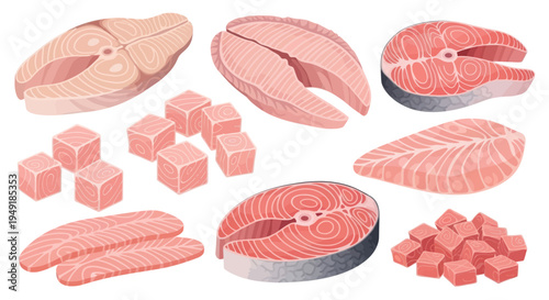 Fresh Salmon Cuts and Cubes Vector Illustration, Food Industry Art