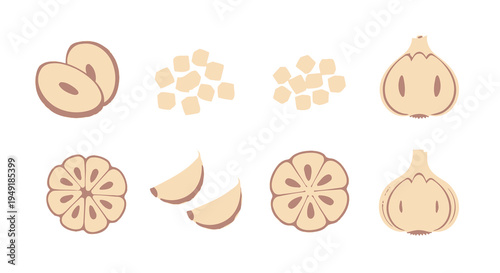 Flat vector illustration of garlic cloves, slices, diced and whole bulbs