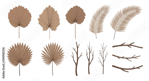 Dried palm leaves and branches flat design vector elements