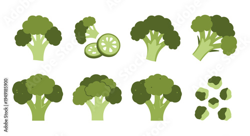 Flat vector illustration of broccoli florets and slices on white