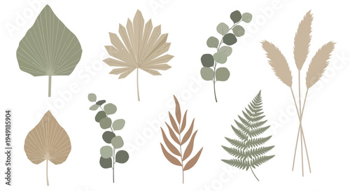 Bohemian dried leaves and pampas grass vector illustration