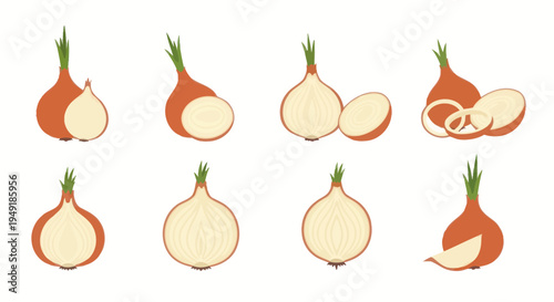 Flat Design Onions, Fresh Vegetables, Healthy Food, Organic Produce Vector