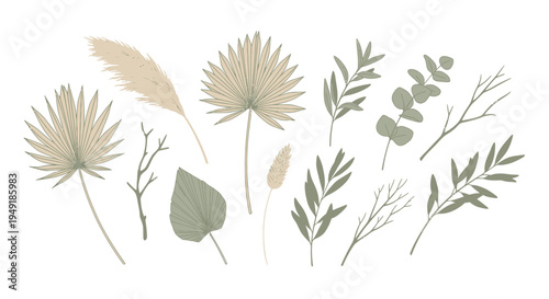 Boho Dried Palm Leaves  Eucalyptus Branches Vector Art