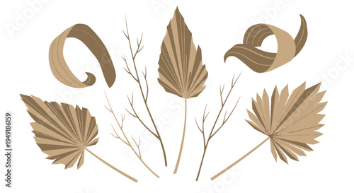 Dried palm leaf and dried curly leaf with branches, flat design