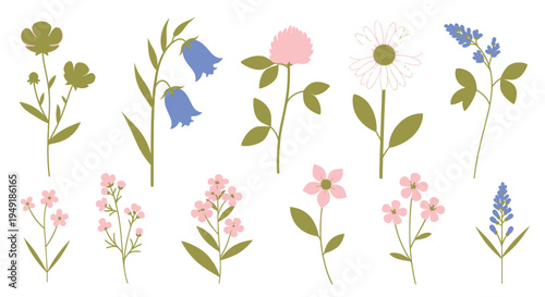 Flat Design Meadow Flowers Collection, Isolated Wild Floral Elements