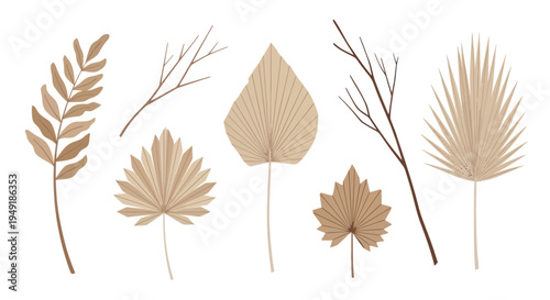 Boho Dried Palm Leaves Branch and Fan Nature Elements