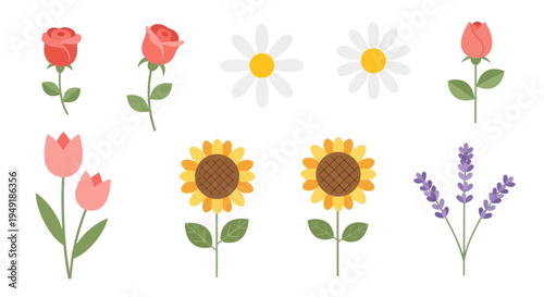 Flat vector illustration of assorted flowers for design assets
