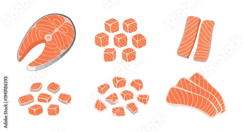 Fresh salmon cuts and steak illustration, flat design food icon