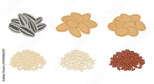 Flat design illustration of various seeds: sunflower, pumpkin, sesame, flax