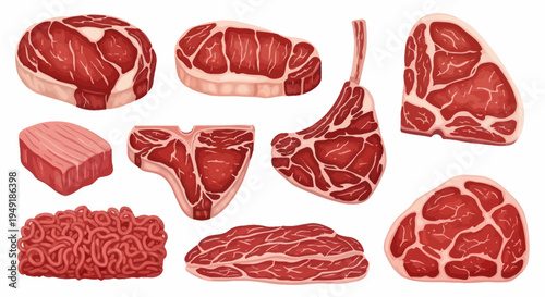 Vector Illustration of Various Raw Meat Cuts, Butcher Shop Style