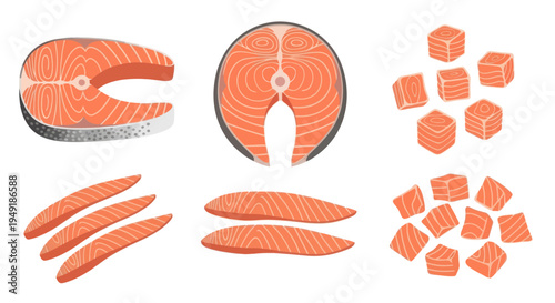Fresh Salmon Fish Steak Slices and Cubes Flat Vector Illustration