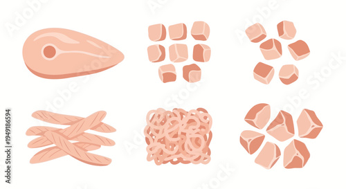 Raw Chicken Cuts Variety Vector Illustration - Flat Style Food Asset