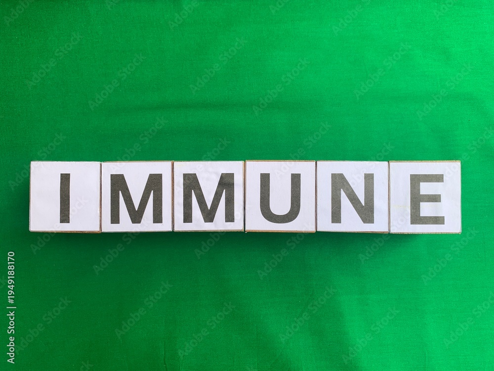 Obraz premium The word IMMUNE spelled with white letter blocks on a green background. Concept of health, vaccination, medical protection, antibodies, and disease resistance. Flat lay top view.