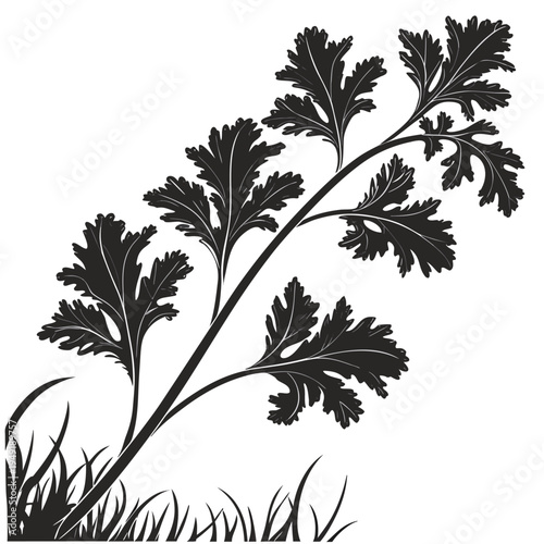  mustard greens silhouette on white background
