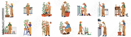 Flat vector illustration set of people gardening, harvesting tomatoes, and caring for plants on balconies and in small urban garden spaces.
