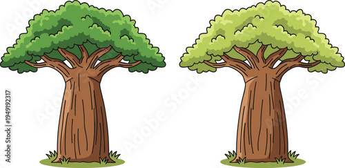Cartoon baobab trees with thick trunks and green canopy isolated on background, tropical nature plant illustration for ecology, forest, environment and landscape design