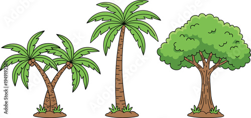 Cartoon tropical palm and leafy tree collection isolated on background, nature plant set for beach landscape design, summer travel theme and botanical illustration