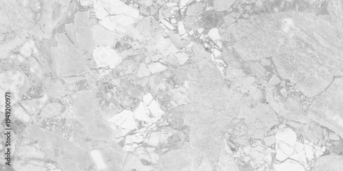 gray-toned, broad-veined stone marble background