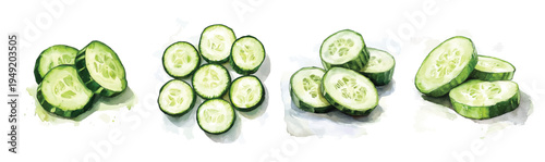 Simple design, Beautiful sliced cucumber set painting design. Hand-painted style, vectorized, vector set available in EPS Simple Hand-painted watercolor style. Adobe Illustrator Artwork