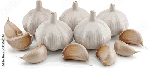 Garlic Bulbs and Cloves on White Background