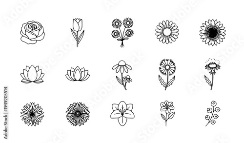 Flower line icons set rose tulip sunflower lotus botanical outline vector