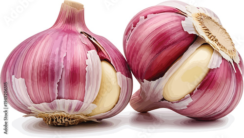 Red Garlic Bulbs with Cloves Exposed on White Background