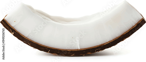 Coconut Half Isolated on White Background