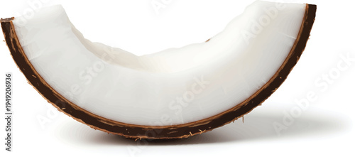 Coconut Half Isolated on White Background