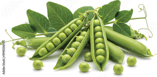 Green Peas Pods with Leaves on White Background